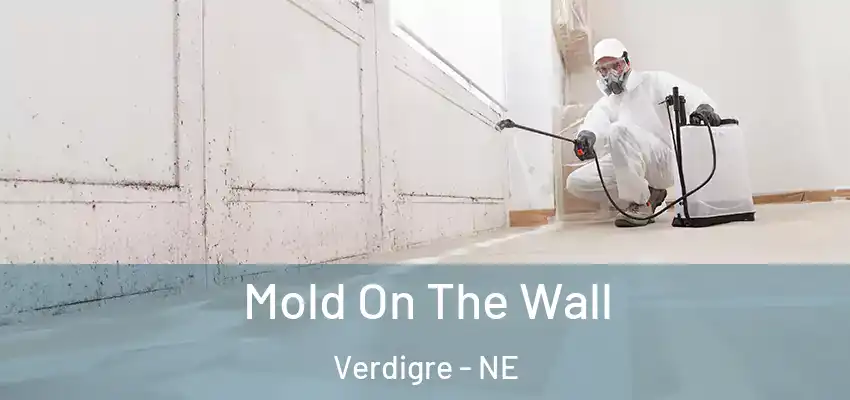  Mold On The Wall Verdigre - NE