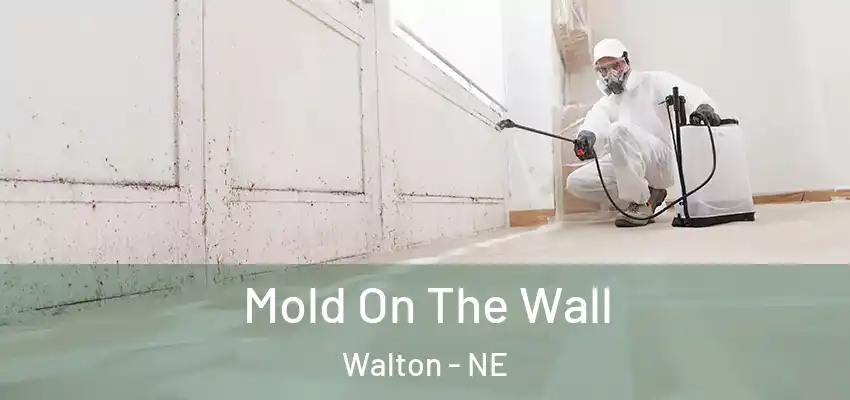  Mold On The Wall Walton - NE