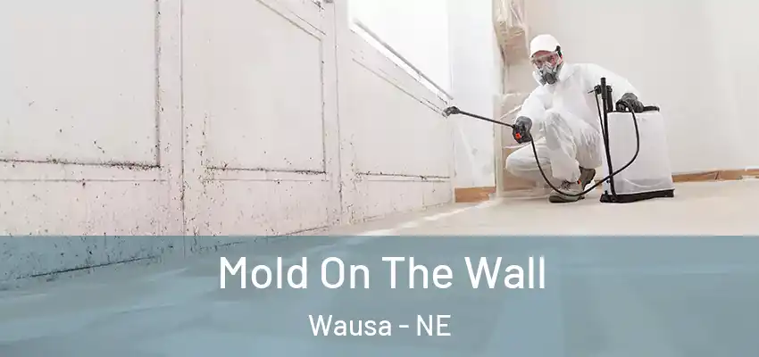  Mold On The Wall Wausa - NE