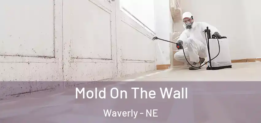  Mold On The Wall Waverly - NE