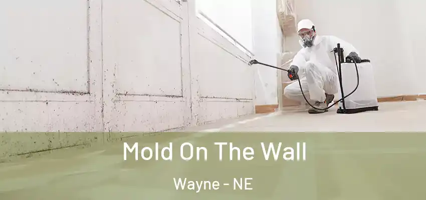  Mold On The Wall Wayne - NE