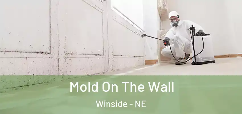Mold On The Wall Winside - NE