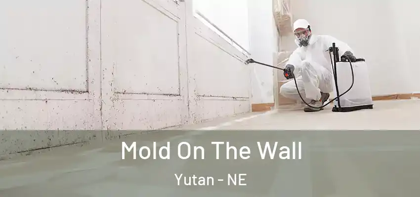  Mold On The Wall Yutan - NE
