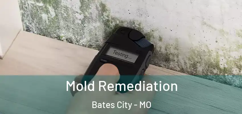  Mold Remediation Bates City - MO