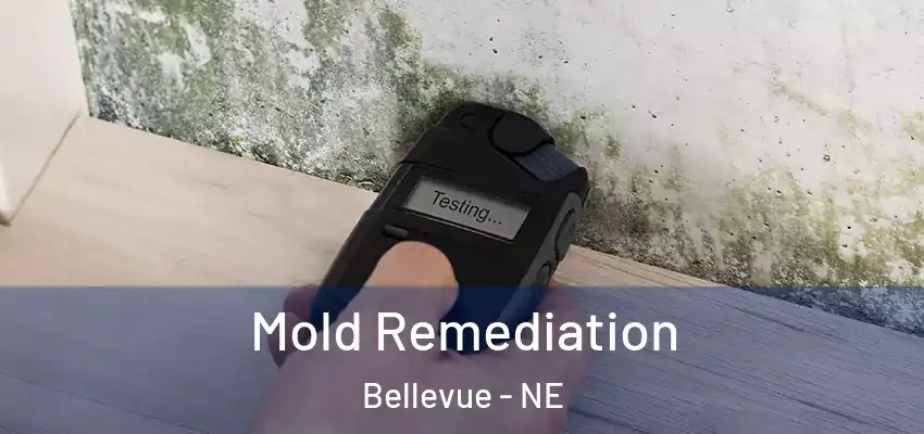  Mold Remediation Bellevue - NE