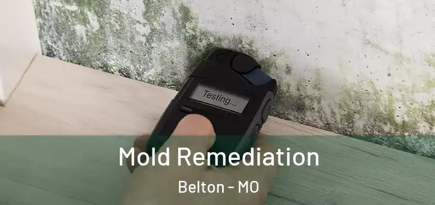  Mold Remediation Belton - MO