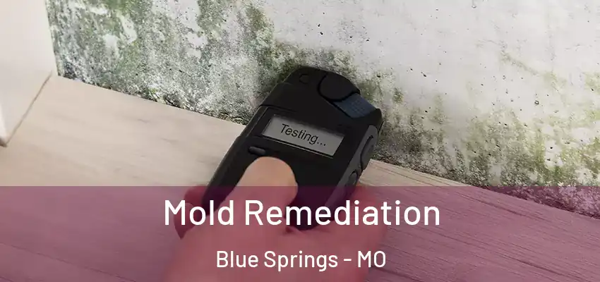  Mold Remediation Blue Springs - MO