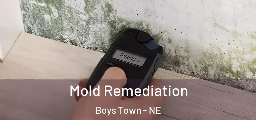 Mold Remediation Boys Town - NE