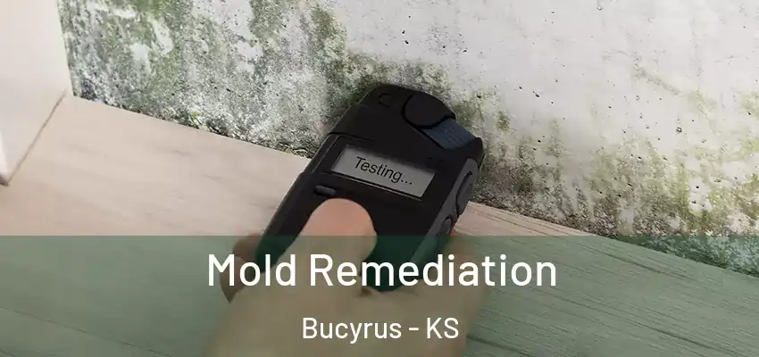  Mold Remediation Bucyrus - KS