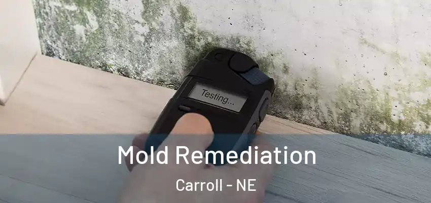  Mold Remediation Carroll - NE