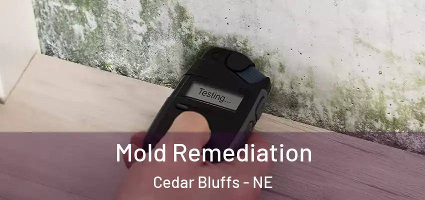  Mold Remediation Cedar Bluffs - NE