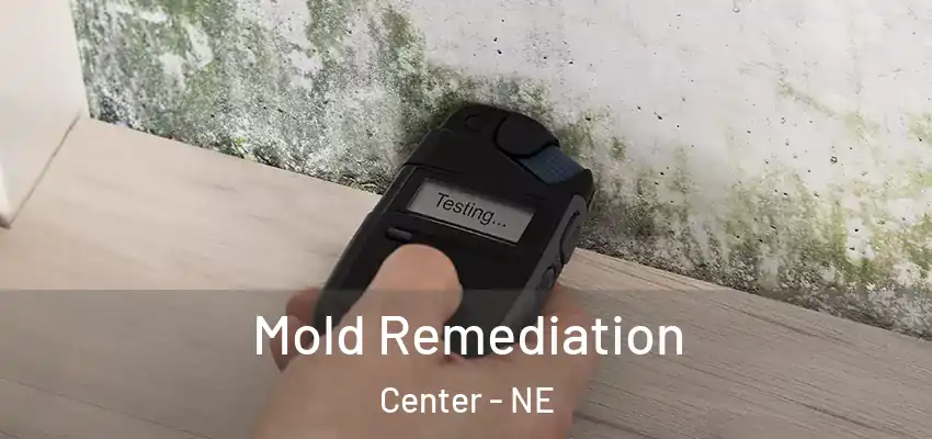  Mold Remediation Center - NE