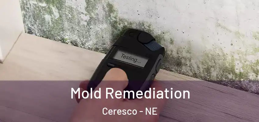  Mold Remediation Ceresco - NE