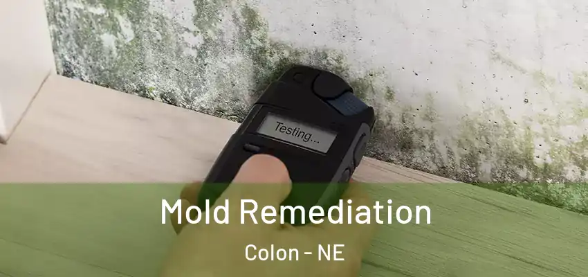  Mold Remediation Colon - NE