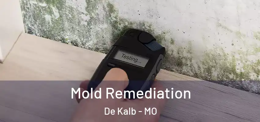  Mold Remediation De Kalb - MO