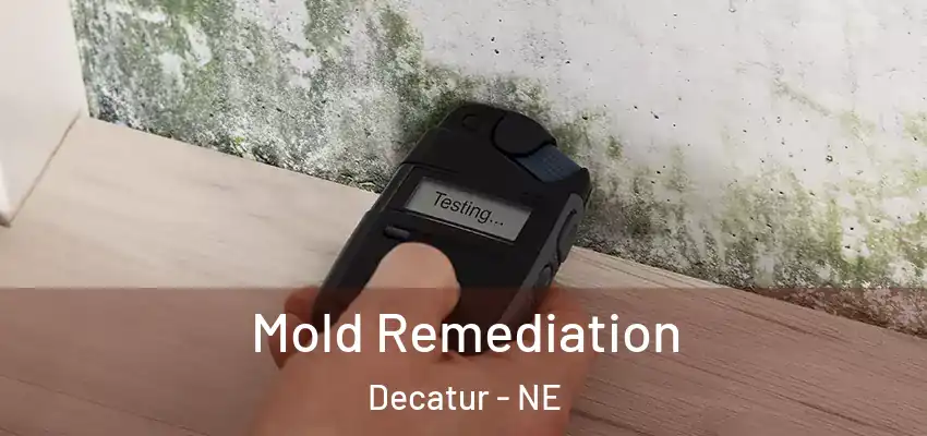  Mold Remediation Decatur - NE