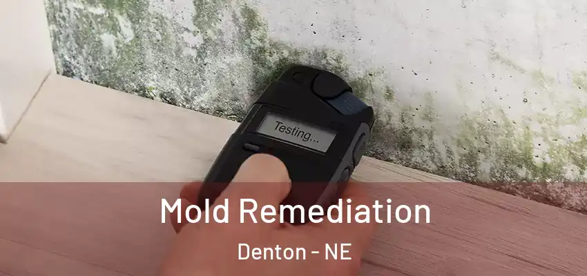  Mold Remediation Denton - NE