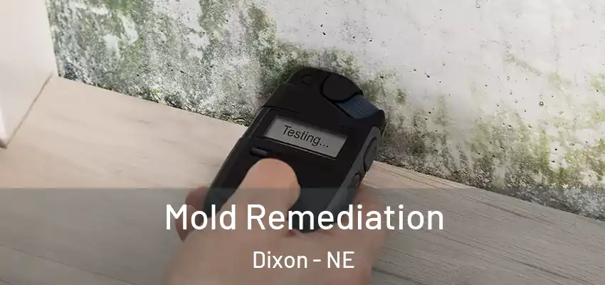 Mold Remediation Dixon - NE