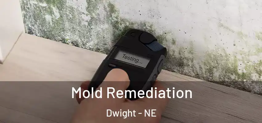  Mold Remediation Dwight - NE