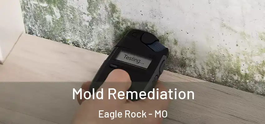 Mold Remediation Eagle Rock - MO