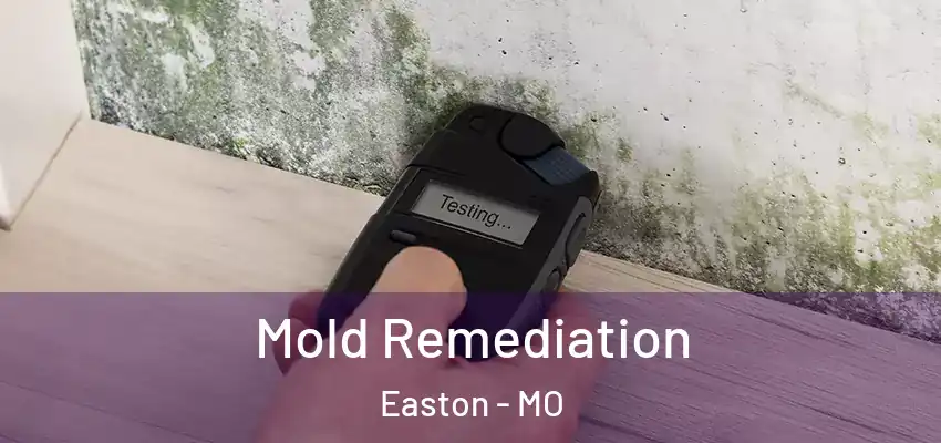  Mold Remediation Easton - MO