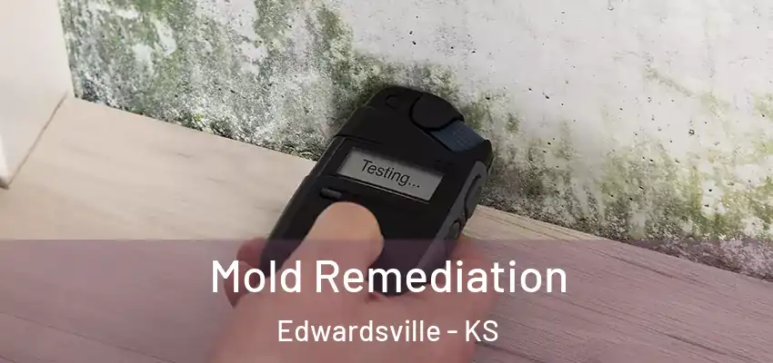  Mold Remediation Edwardsville - KS