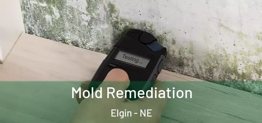  Mold Remediation Elgin - NE