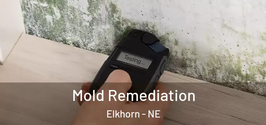  Mold Remediation Elkhorn - NE