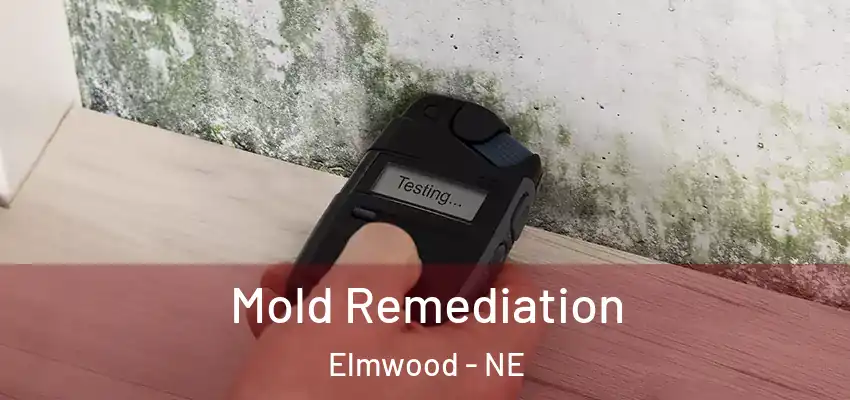  Mold Remediation Elmwood - NE