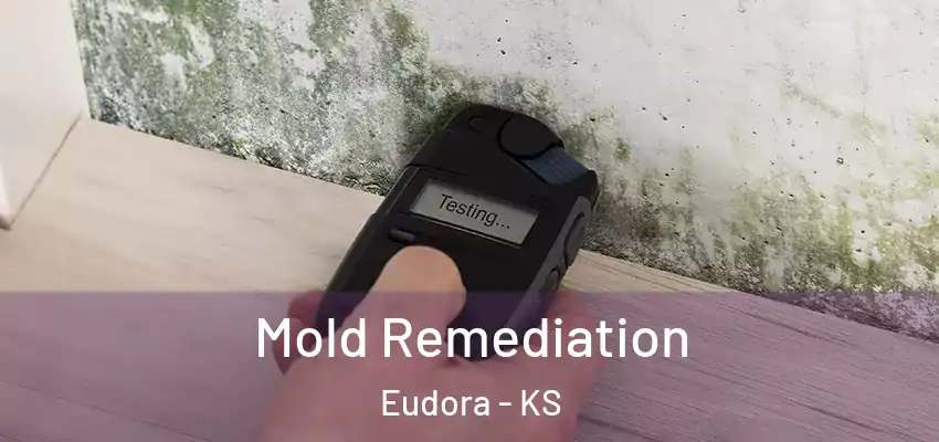 Mold Remediation Eudora - KS