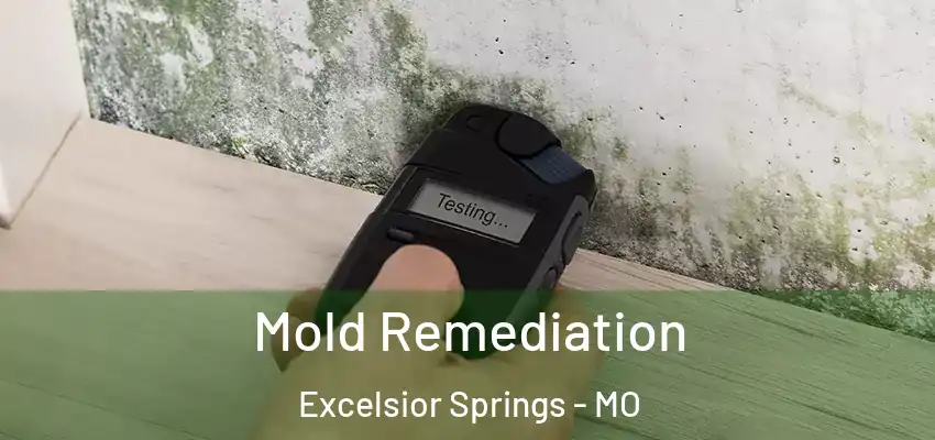  Mold Remediation Excelsior Springs - MO