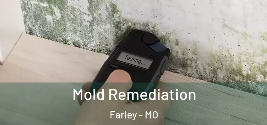  Mold Remediation Farley - MO