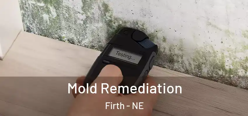 Mold Remediation Firth - NE