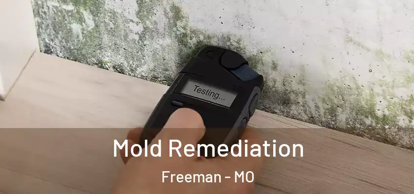 Mold Remediation Freeman - MO
