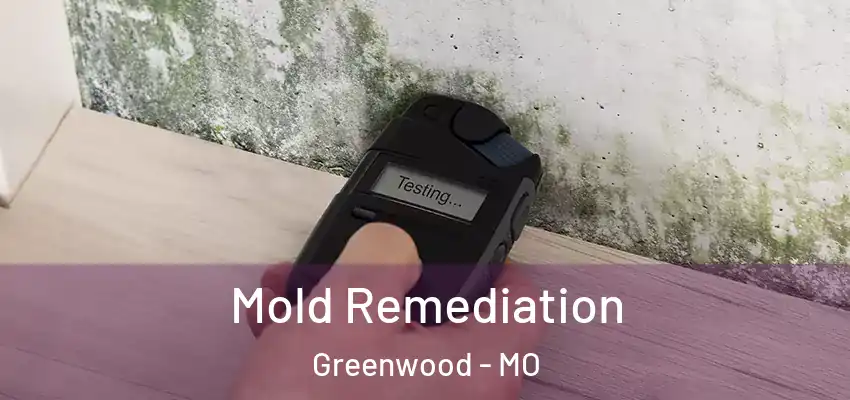  Mold Remediation Greenwood - MO