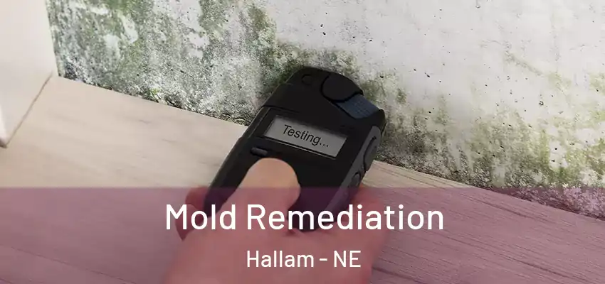  Mold Remediation Hallam - NE
