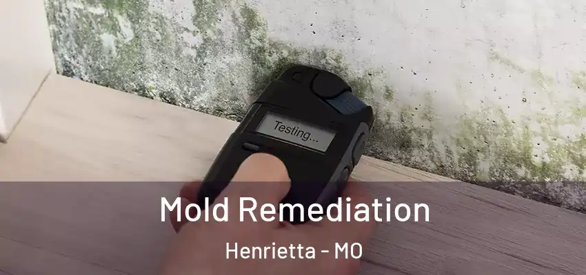  Mold Remediation Henrietta - MO