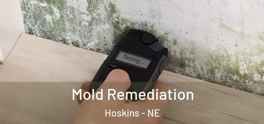  Mold Remediation Hoskins - NE