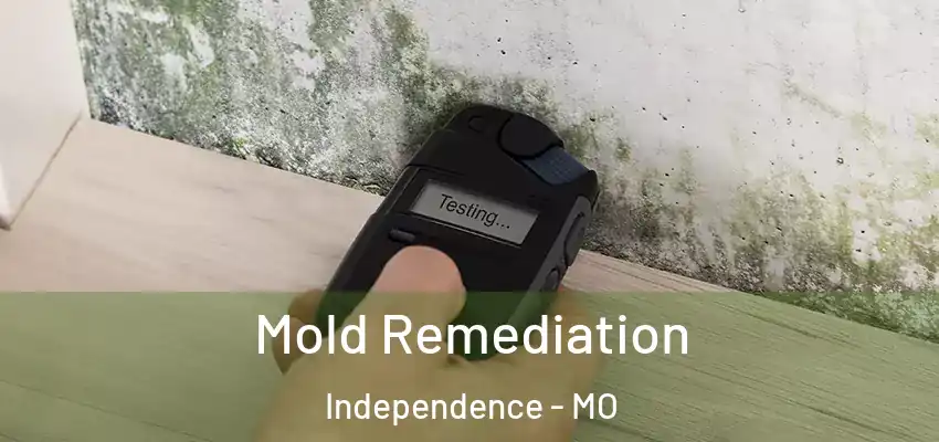  Mold Remediation Independence - MO