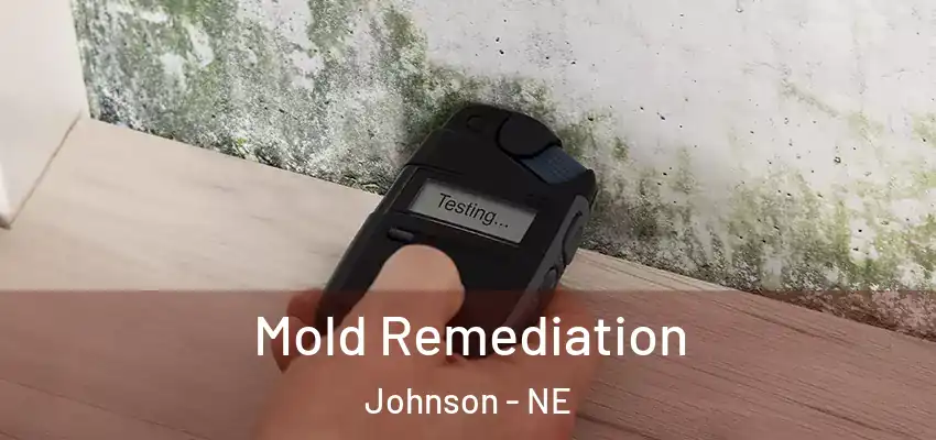 Mold Remediation Johnson - NE