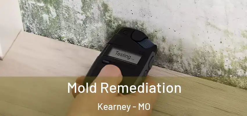  Mold Remediation Kearney - MO