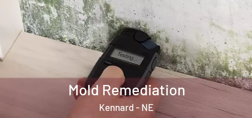  Mold Remediation Kennard - NE