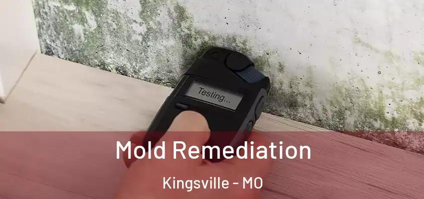  Mold Remediation Kingsville - MO