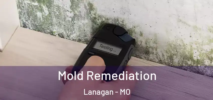  Mold Remediation Lanagan - MO