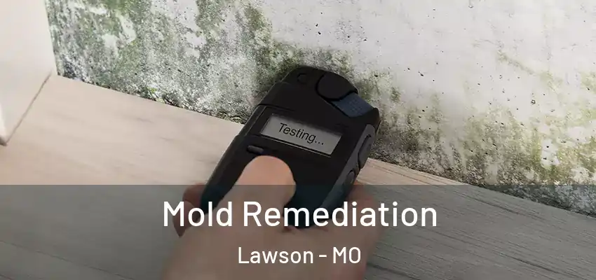  Mold Remediation Lawson - MO
