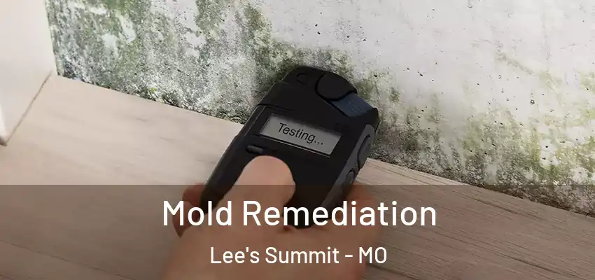  Mold Remediation Lee's Summit - MO
