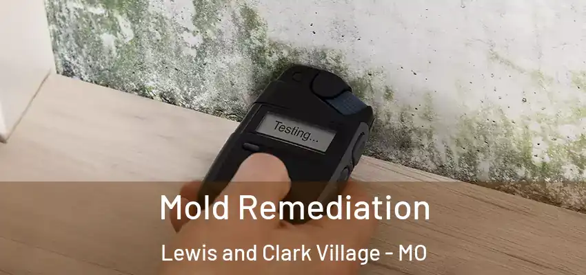  Mold Remediation Lewis and Clark Village - MO