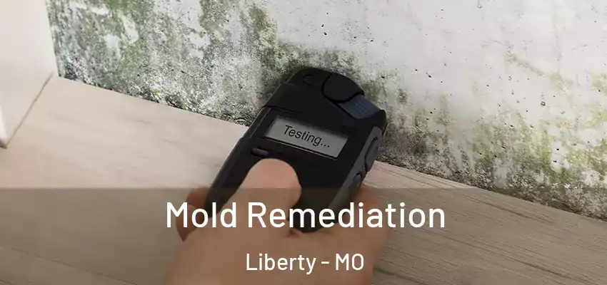  Mold Remediation Liberty - MO