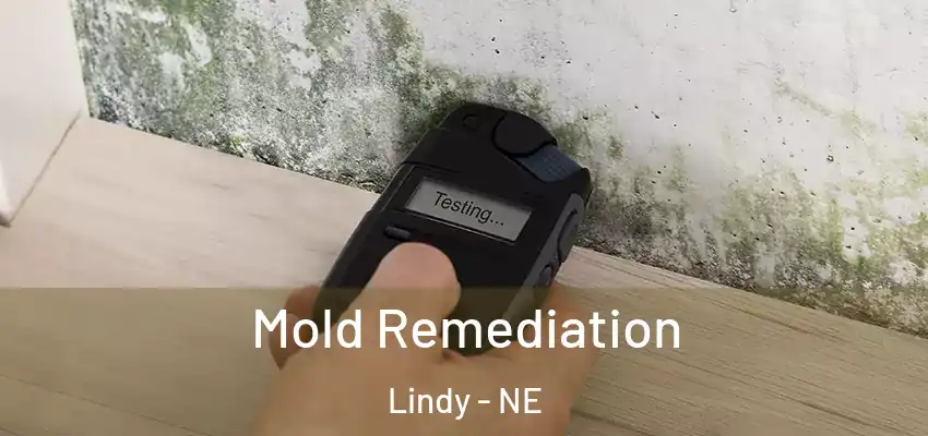  Mold Remediation Lindy - NE