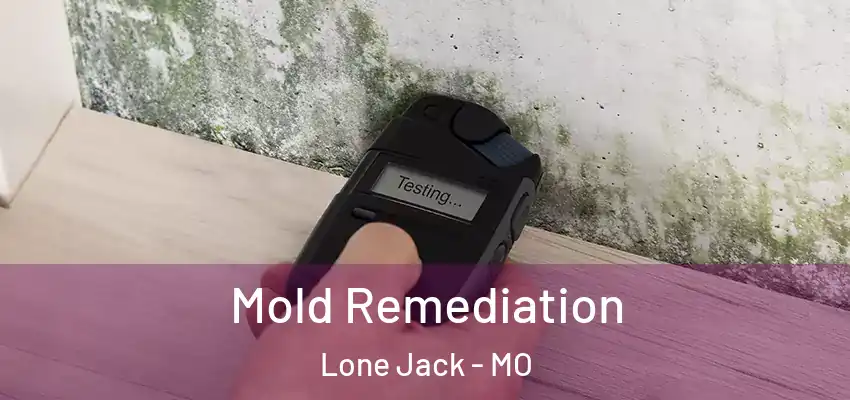  Mold Remediation Lone Jack - MO